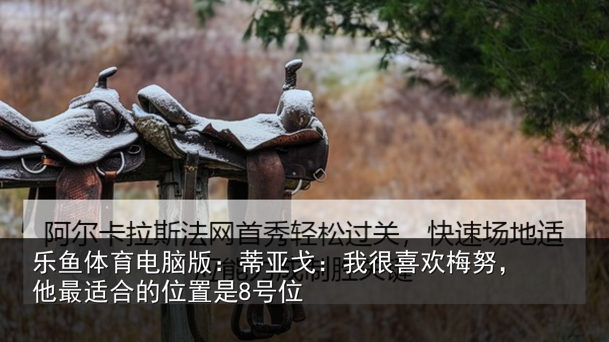 乐鱼体育电脑版：蒂亚相关情况最适合的位置是8号位