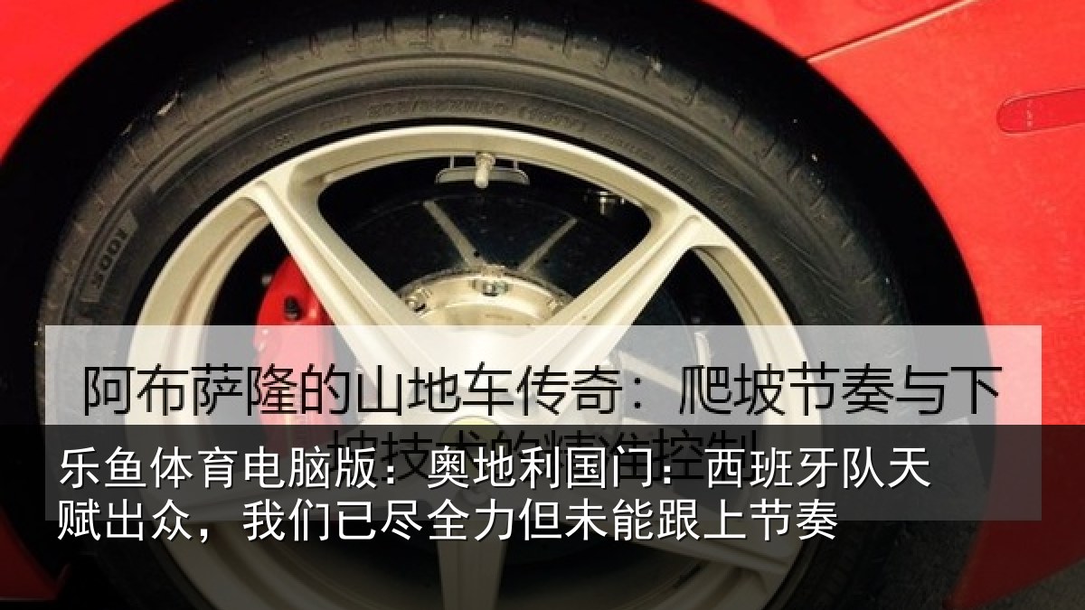 乐鱼体育电脑版：奥地相关情况赋出相关情况未能跟上节奏