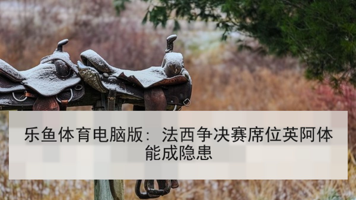 乐鱼体育电脑版: 法西争决赛席位英阿体能成隐患
