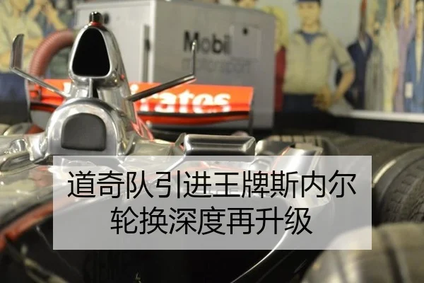 道奇队引进王牌斯内尔 轮换深度再升级