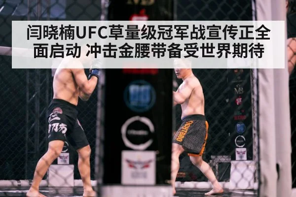 闫晓楠UFC草量级冠军战宣传正全面启动 冲击金腰带备受世界期待